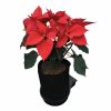 SmartPot-Situ-Main-13.jpg